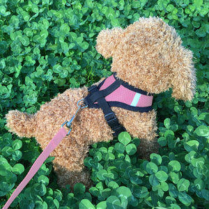 1 pc Adjustable Soft Breathable Pet Dog Soft Chest Harness Vest Belt for Dogs Puppy Collar Leashes Puppy Walking Strap Traction
