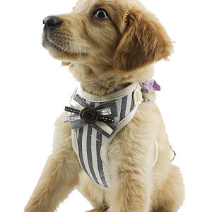 Fashion Striped Vest Chest Strap Small Dog Cat Walking Leads Harness Bow Decoration Pet Puppy Dog Leash Supplies XS-L