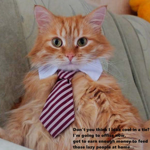[MPK Cat Ties] Cute Pet Ties, Dog Collar Cat Collar, Pet Bow Ties, Dog Tie, Smart-Looking Pet Costume