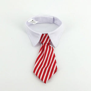[MPK Cat Ties] Cute Pet Ties, Dog Collar Cat Collar, Pet Bow Ties, Dog Tie, Smart-Looking Pet Costume